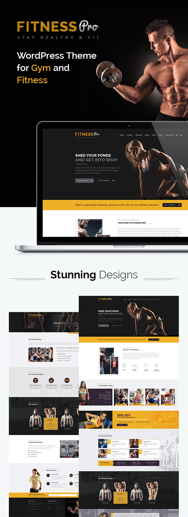 gym wordpress theme