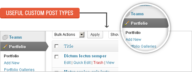 Custom Post Types