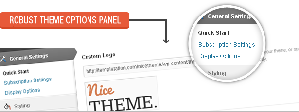 Robust Theme Options Panel